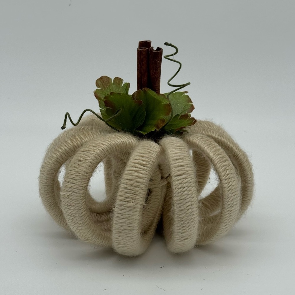 Rustic Yarn Wrapped Pumpkin Decor Fall Decorations Autumn Halloween Tan New